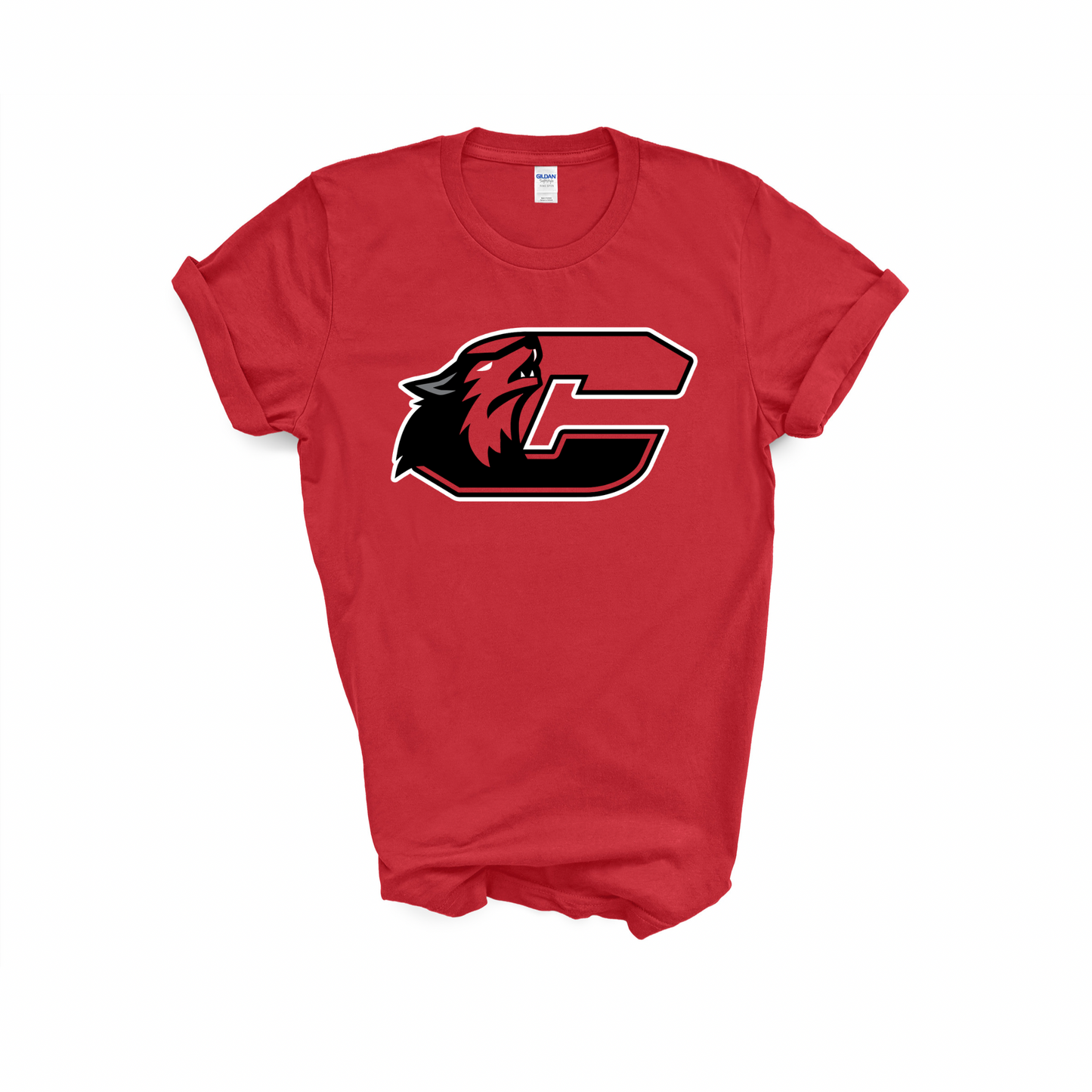 Clinton Schools T-Shirt