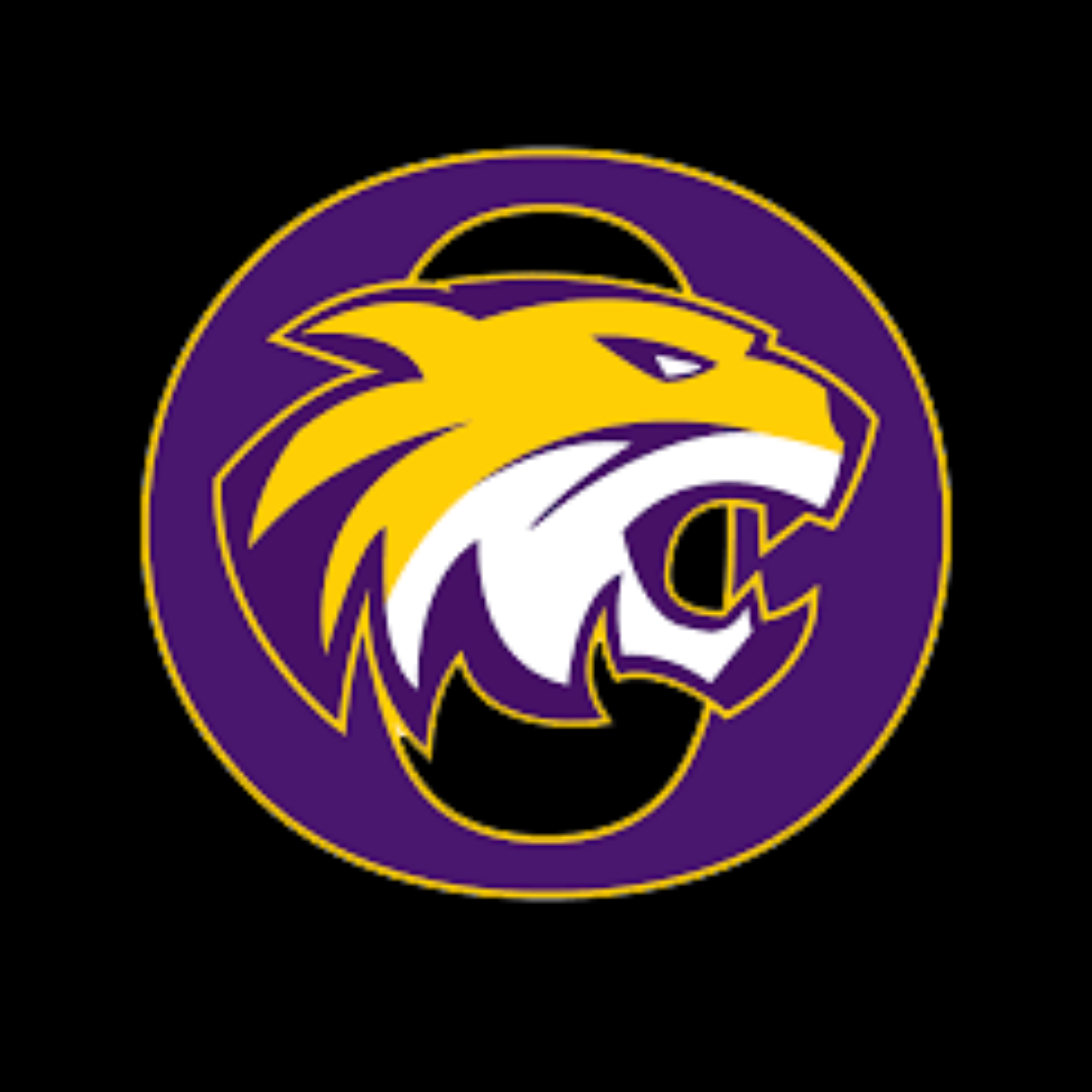 Onsted Wildcats – Shirtz Ink