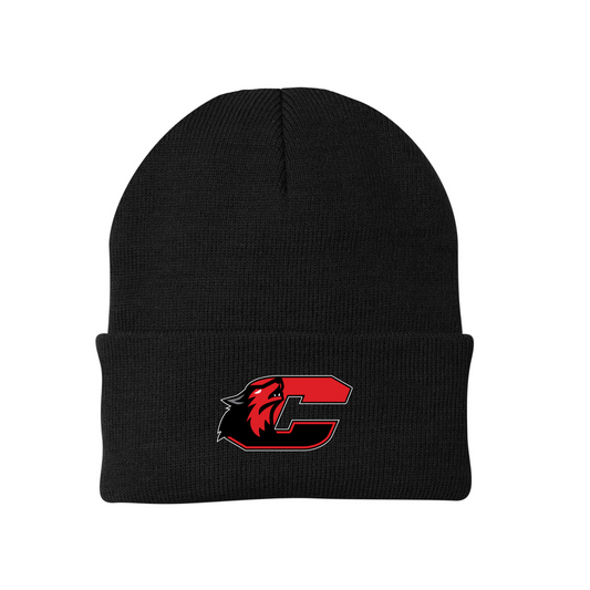 Embroidered Beanie Hat  Clinton